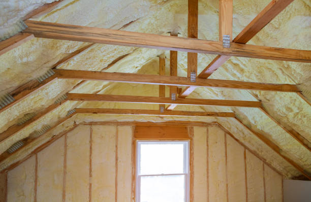 Best Cellulose Insulation in Monroe, GA