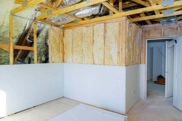 Best Eco-Friendly Insulation in Monroe, GA
