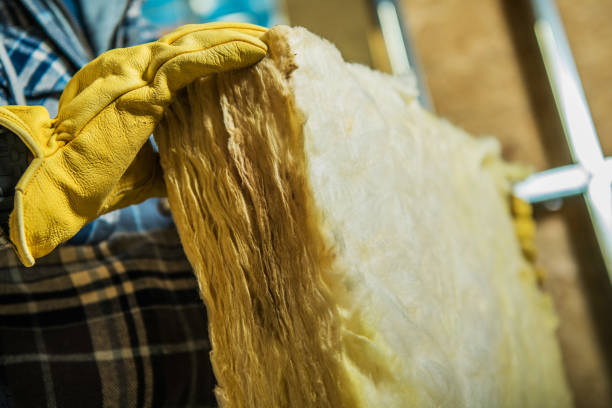Best Geographic-Specific Insulation Services in Monroe, GA