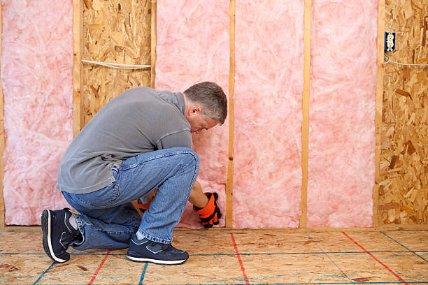 Best Insulation Maintenance and Repair in Monroe, GA