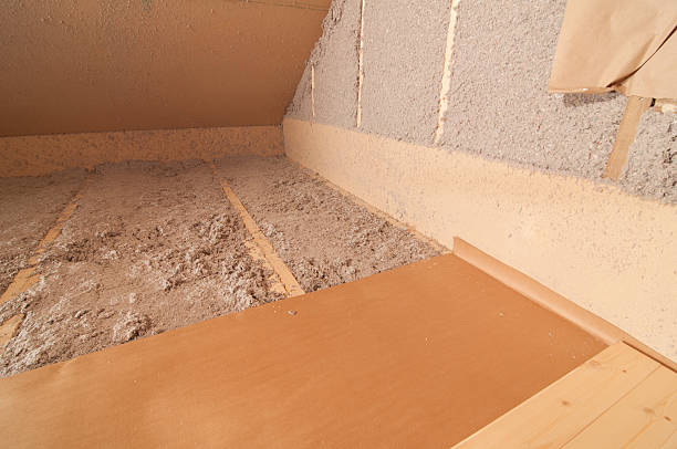Best Specialized Insulation Services in Monroe, GA