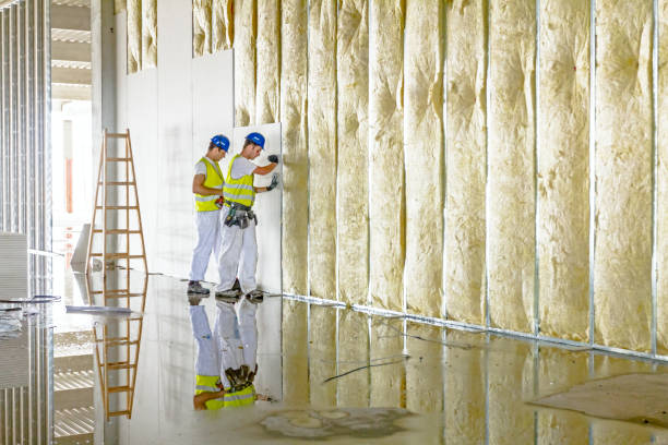 Best DIY Insulation Kits and Guidance in Monroe, GA